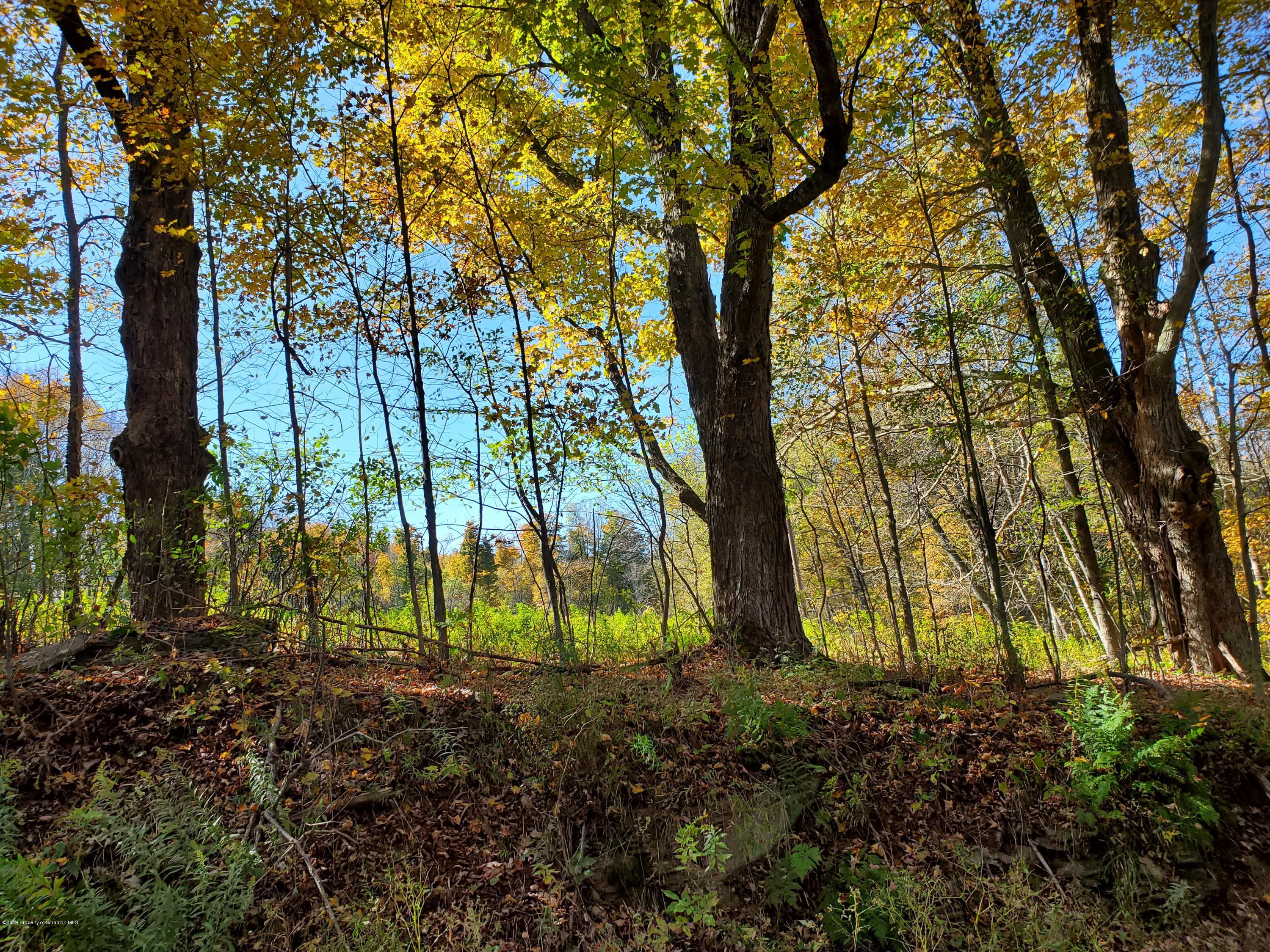 Franklin Hill Road Hallstead, PA 18822 - Photo 3 of 3 20191010_140536