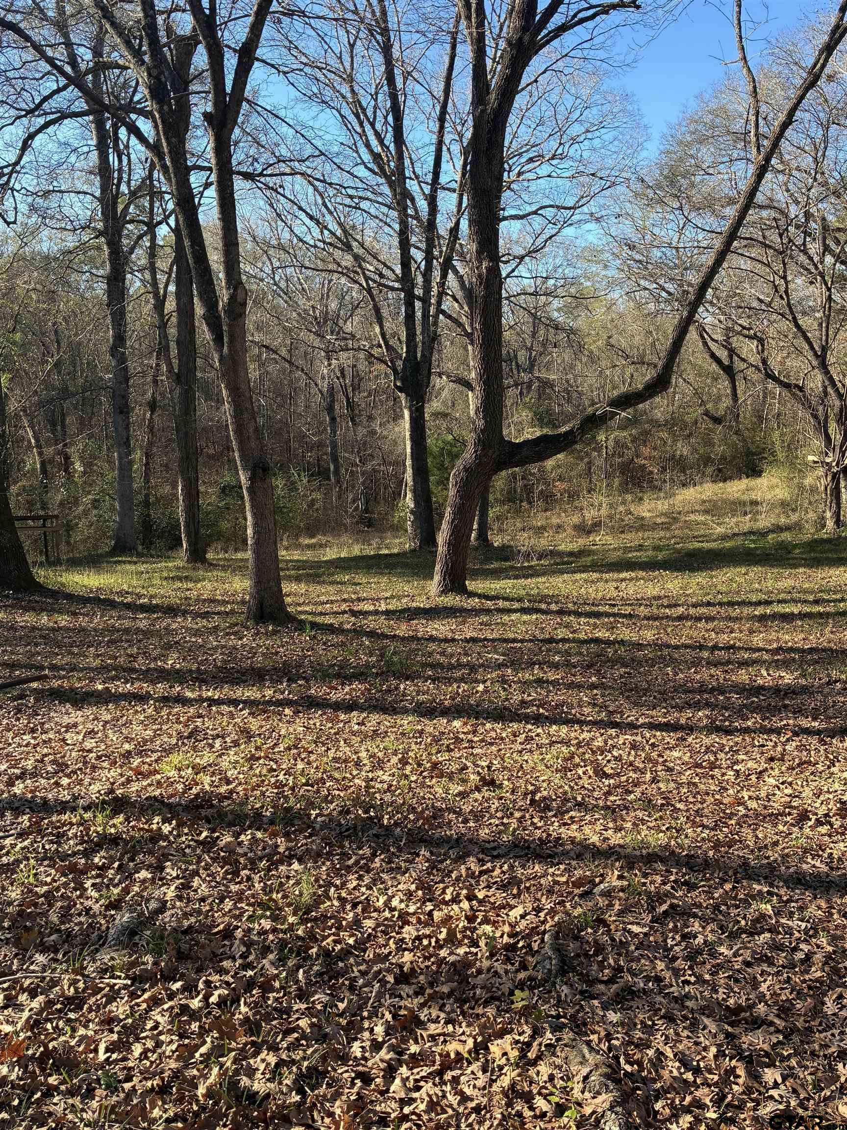 20519 Highway 69 Rusk, TX 75785 - Photo 4 of 20 a view of a backyard of the house