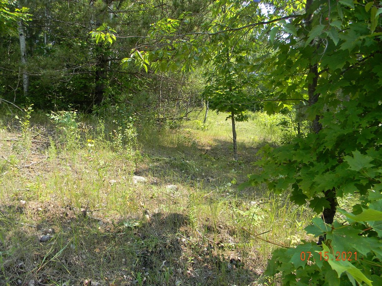 On On Cth F Antigo, WI 54409 - Photo 10 of 21 Gallery Image 10
