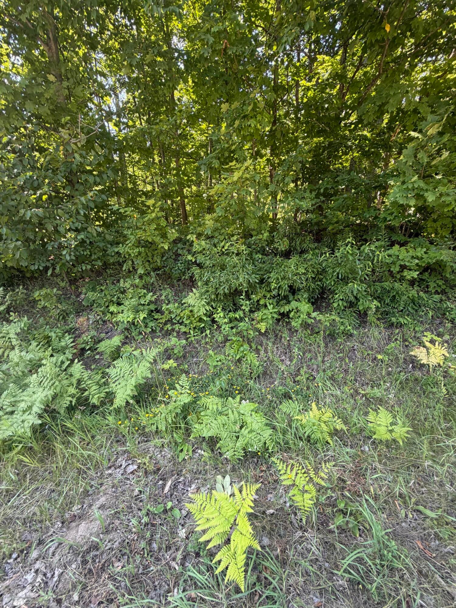 9632 Mt Frederick Road Gaylord, MI 49735 - Photo 3 of 9 Gallery Image 3