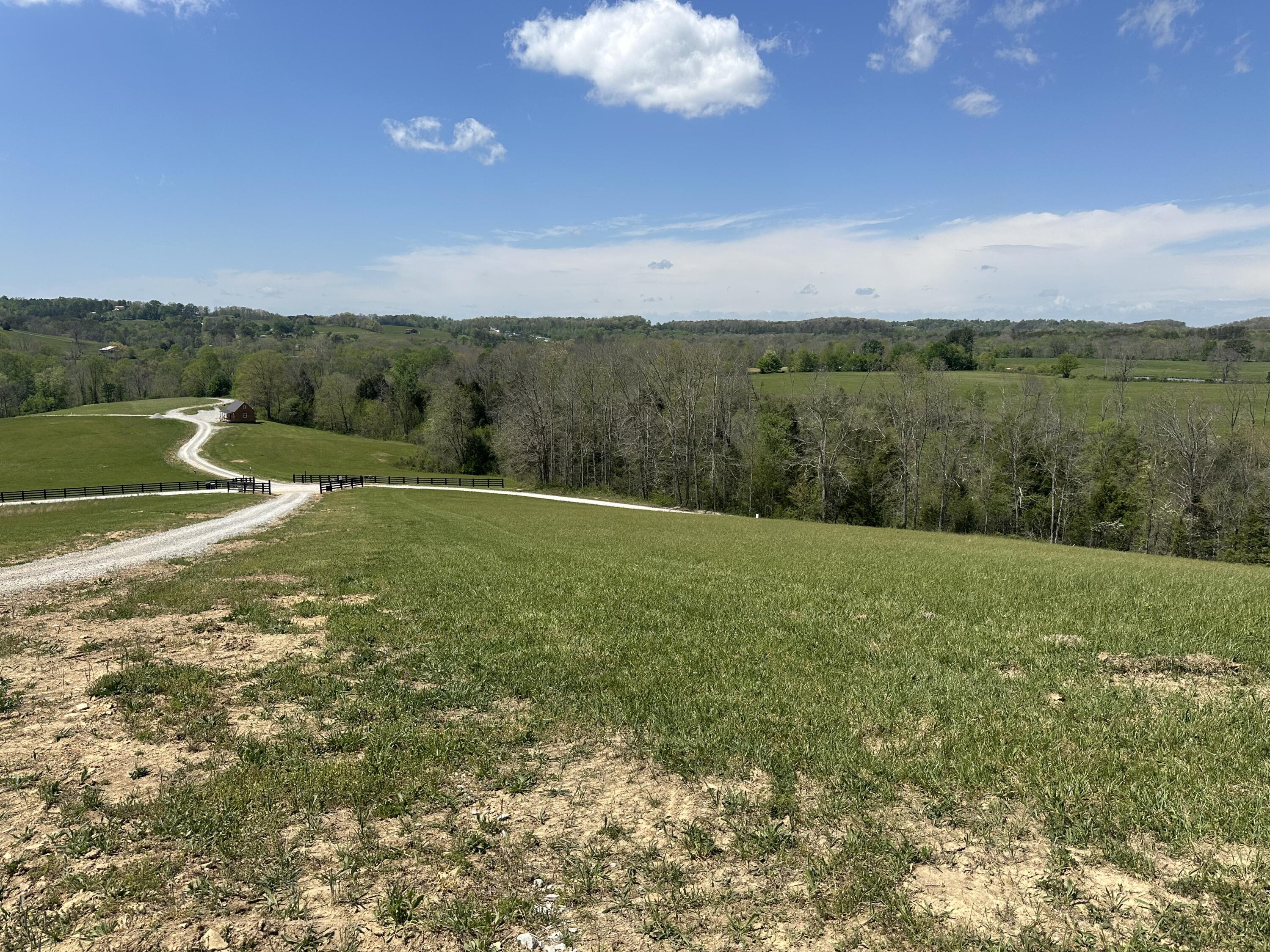 Lot 2 Baldwin Road McKee, KY 40447 - Photo 4 of 45 IMG_8538