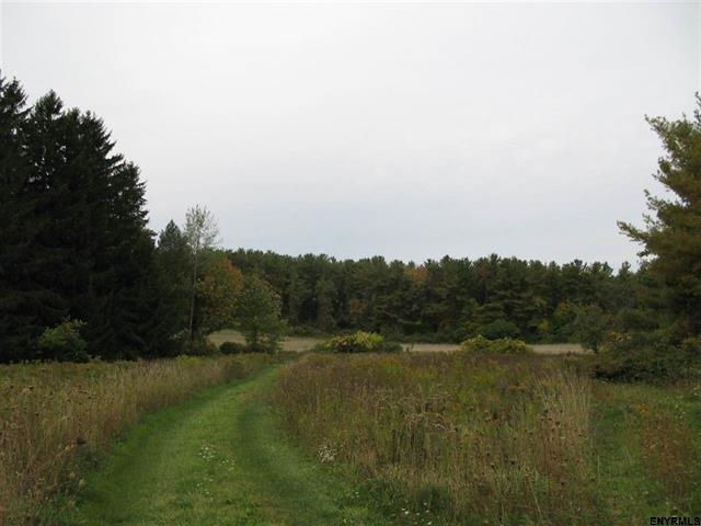 417 Spruce Lake Road Summit, NY 12175 - Photo 1 of 1