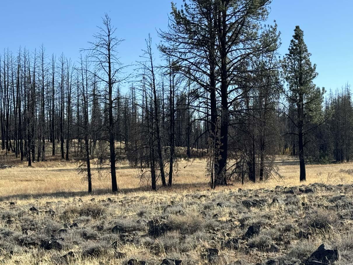 Bull Pine Road, Unit 500 400 300 Beatty, OR 97621 - Photo 36 of 50 IMG_4220