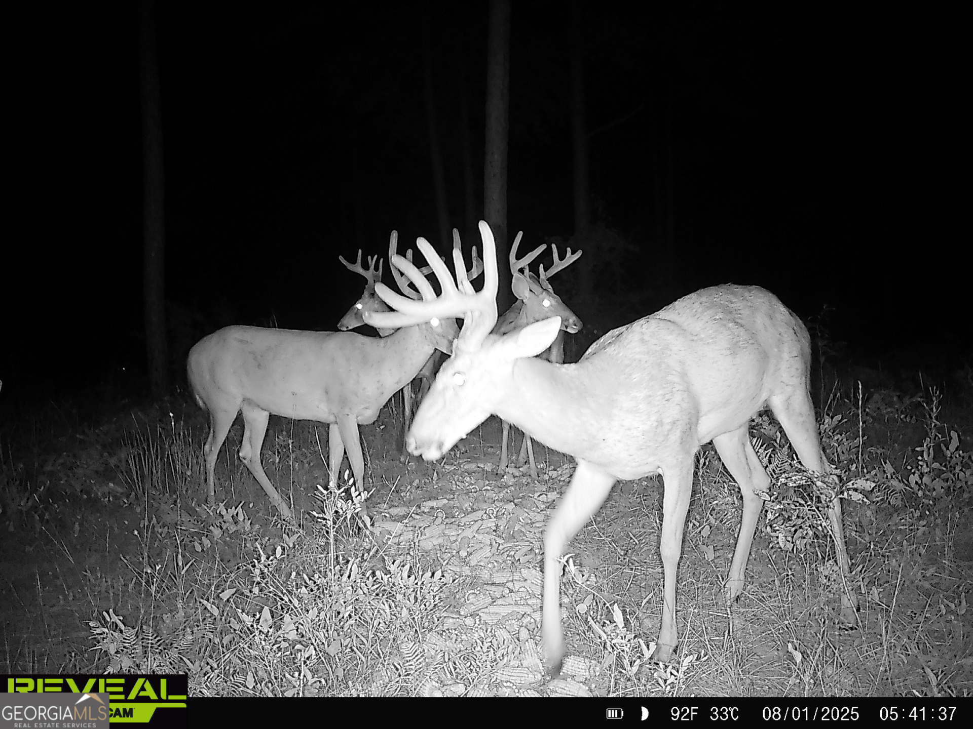 a view of a table and chairs in a patio
