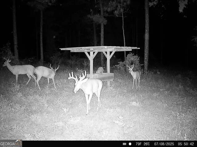a view of outdoor space with seating area
