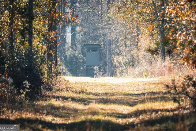 a view of a yard in a yard
