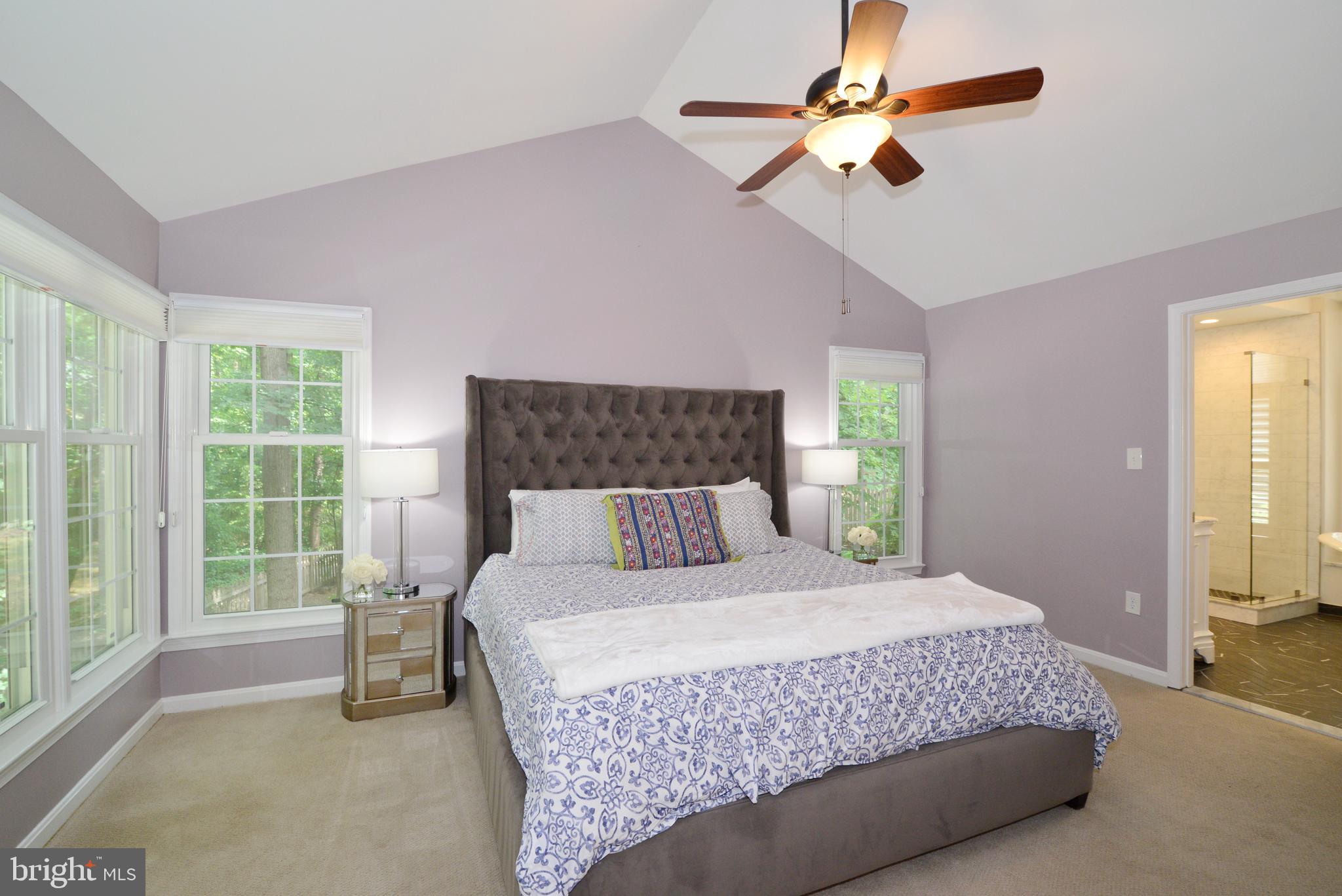 11633 Springhouse Place Reston, VA 20194 - Photo 14 of 42 Main Level Master Suite with Vaulted Ceiling.