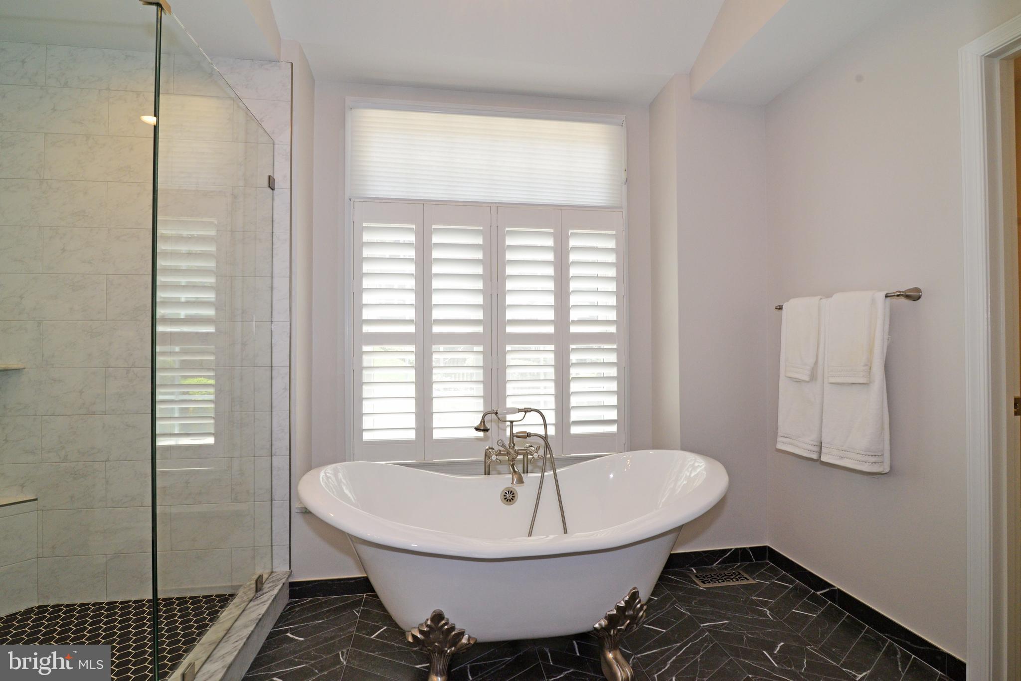 11633 Springhouse Place Reston, VA 20194 - Photo 15 of 42 Luxuriate in Your Clawfoot Tub!
