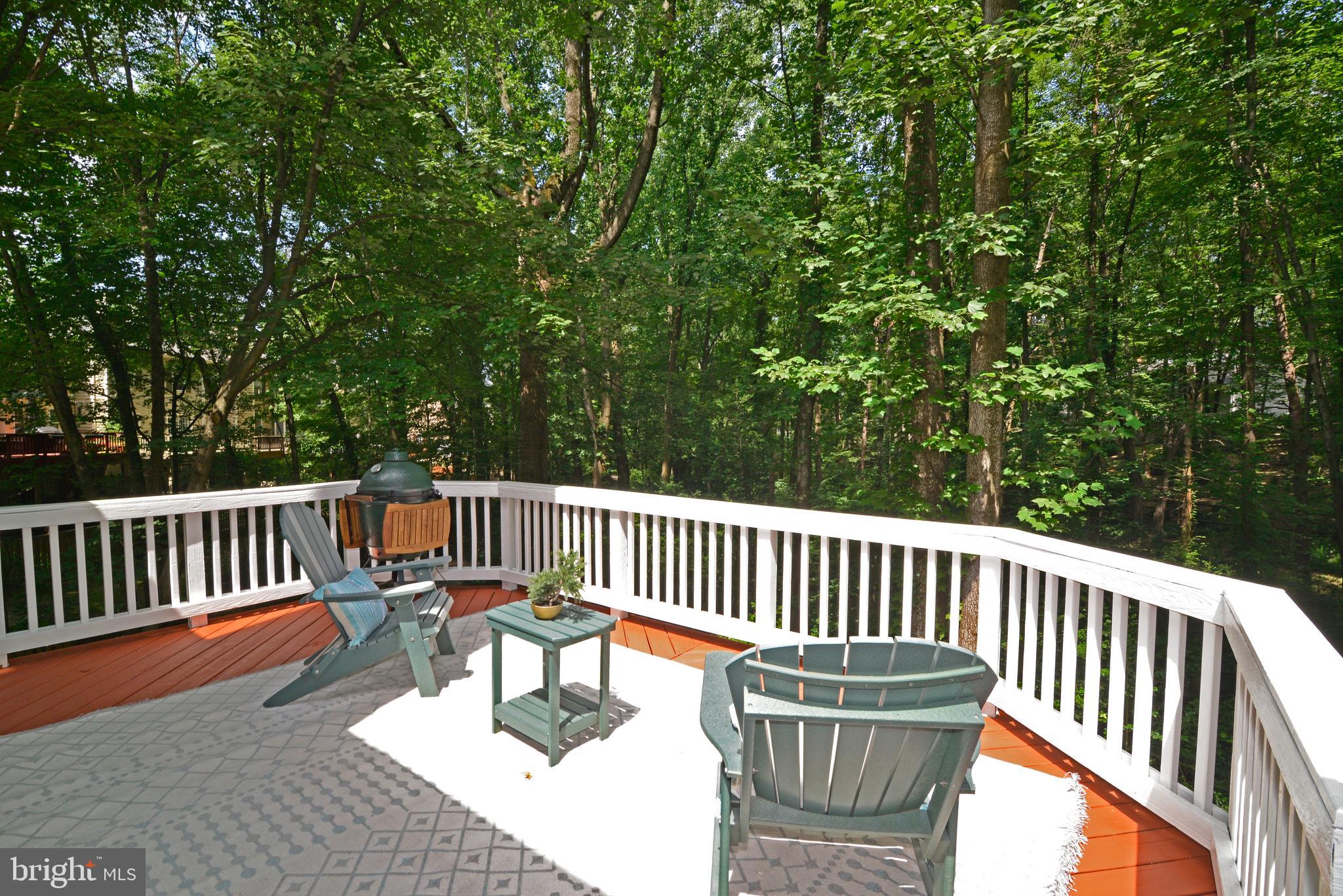 11633 Springhouse Place Reston, VA 20194 - Photo 20 of 42 Serene Setting: Listen to Nature, Enjoy Privacy.