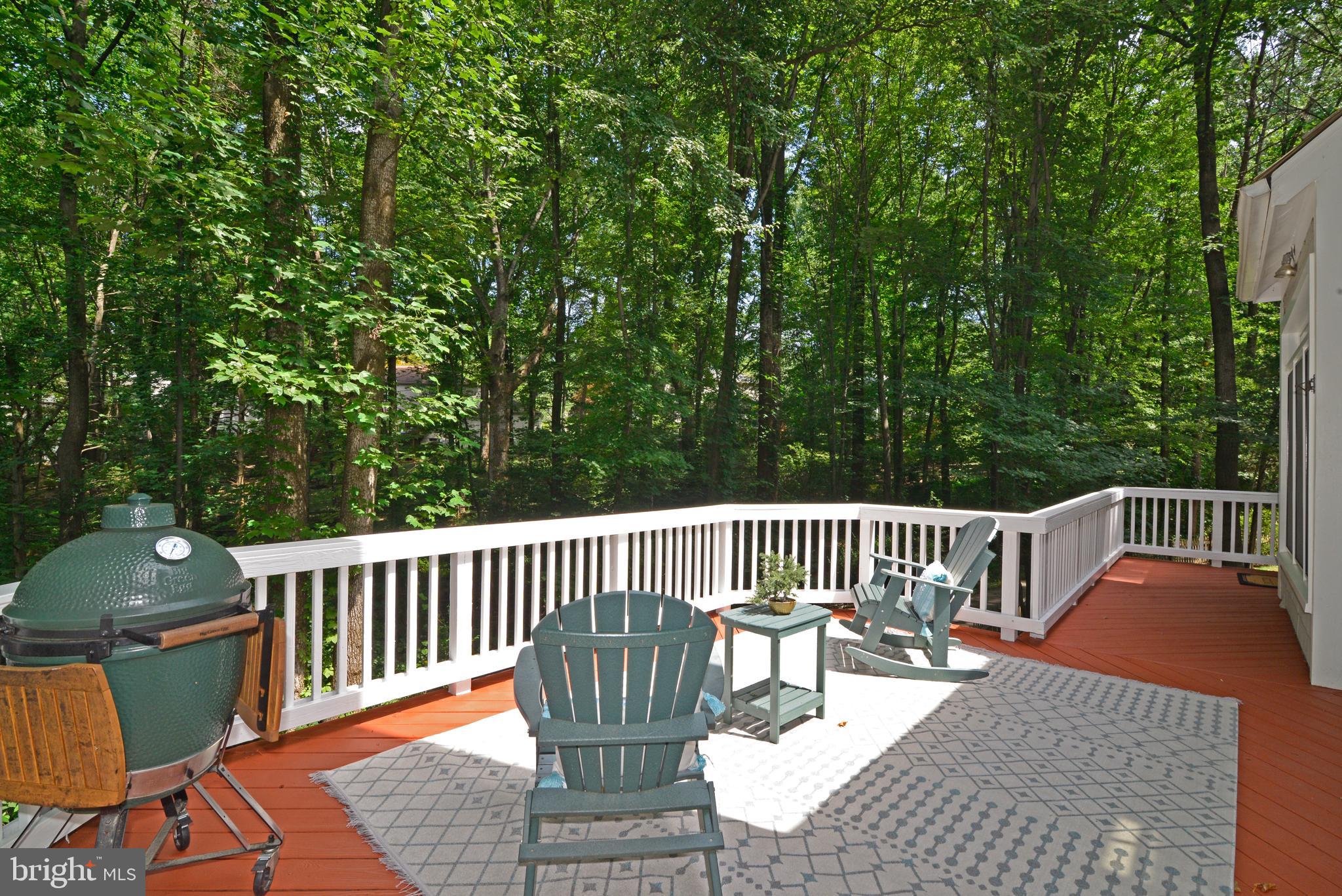 11633 Springhouse Place Reston, VA 20194 - Photo 21 of 42 Expansive Deck with Dual Access.