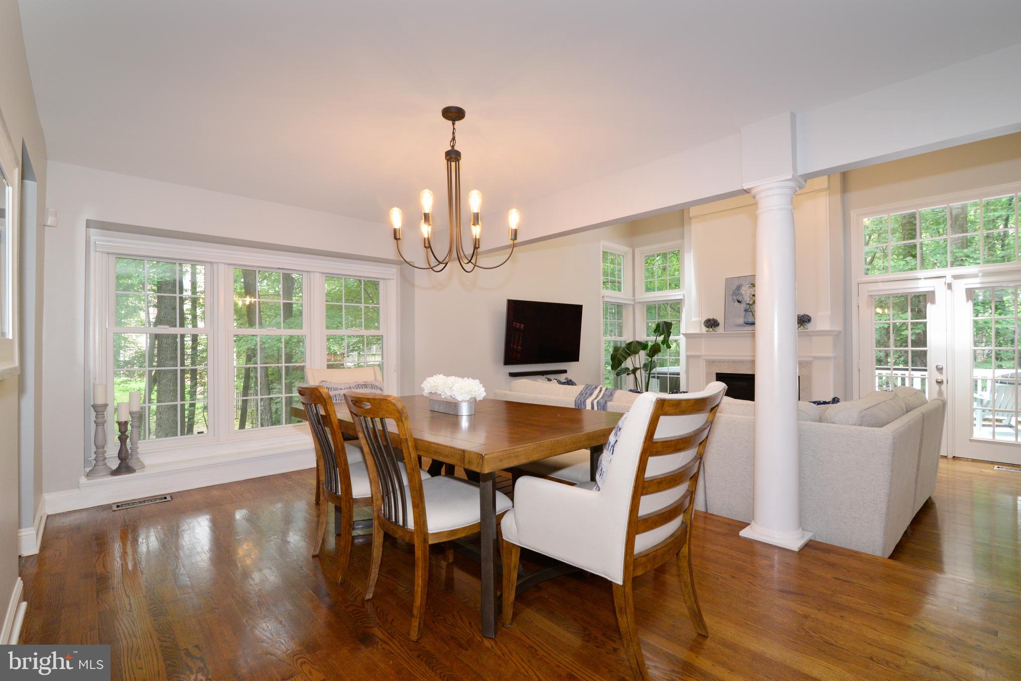 11633 Springhouse Place Reston, VA 20194 - Photo 6 of 42 New Windows Throughout Home.