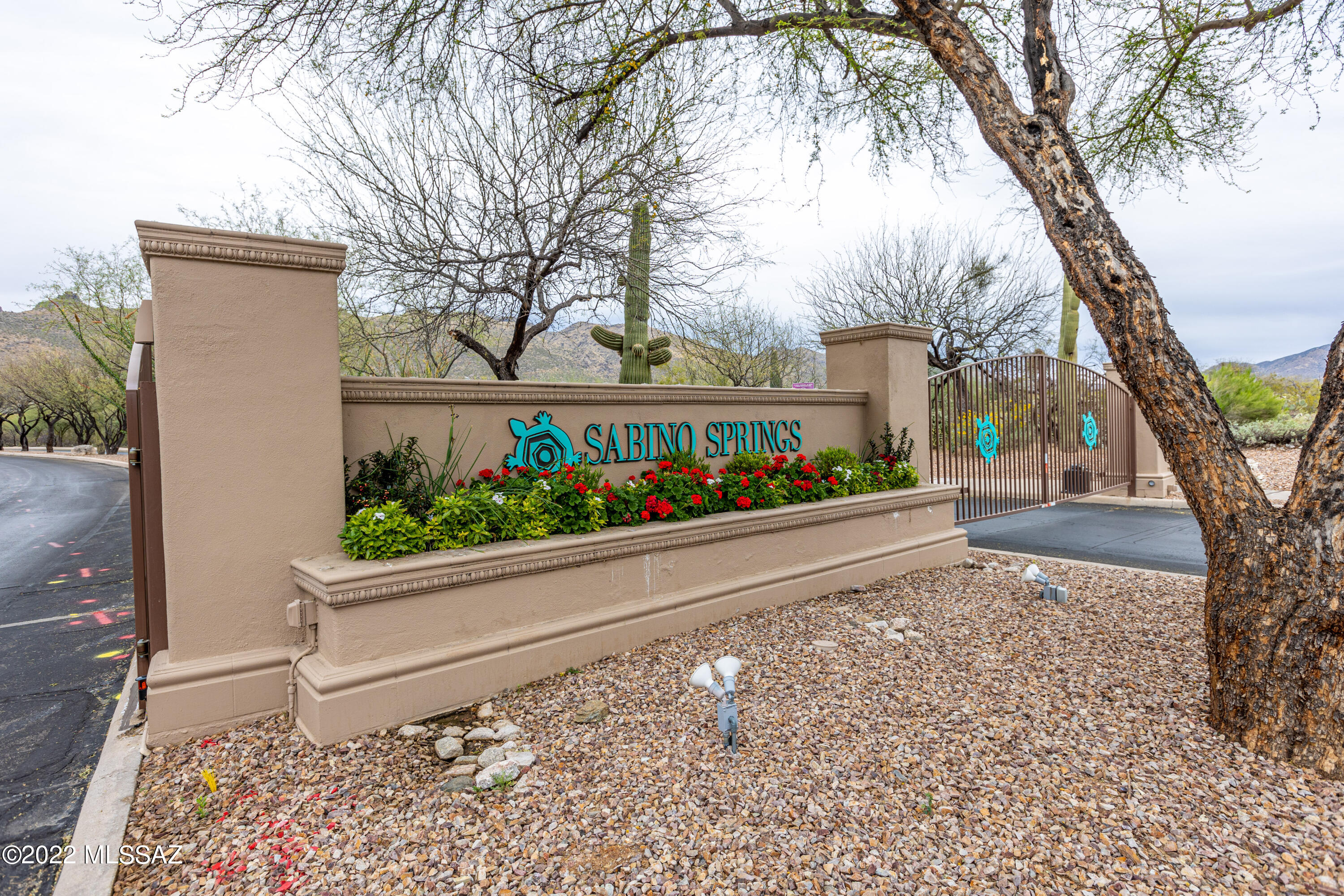 5310 Spring View Drive Tucson, AZ 85749 - Photo 49 of 49