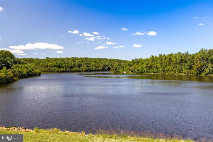 8019 Galla Knoll Circle Springfield, VA 22153 - Photo 54 of 57 Serene lake embraced by lush greenery.