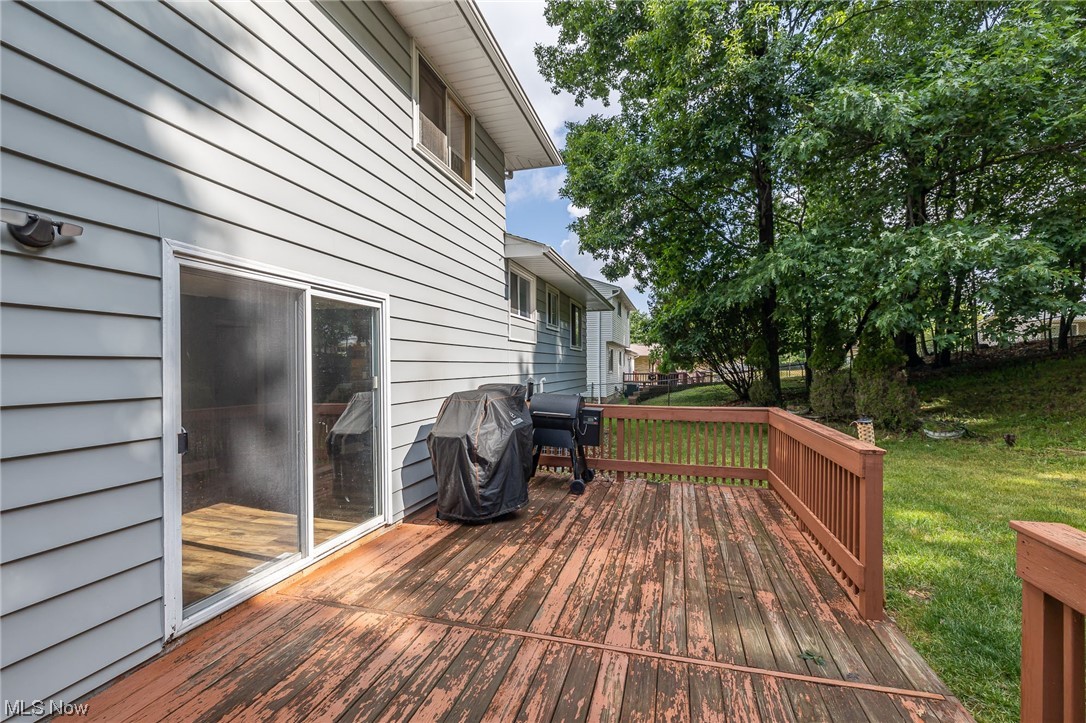 7359 Ames Road Cleveland, OH 44129 - Photo 28 of 29 time to grill!
