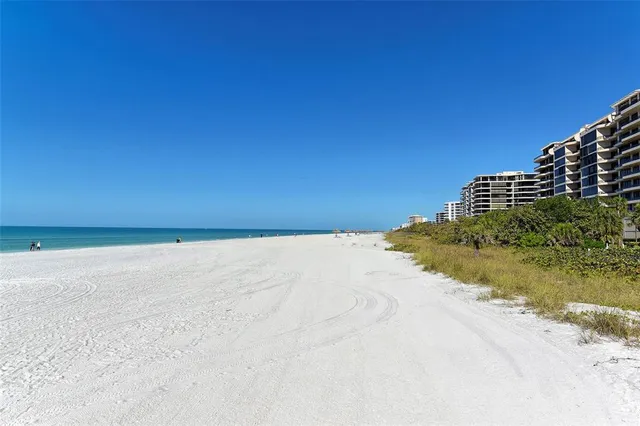 a view of a lake with a palm trees