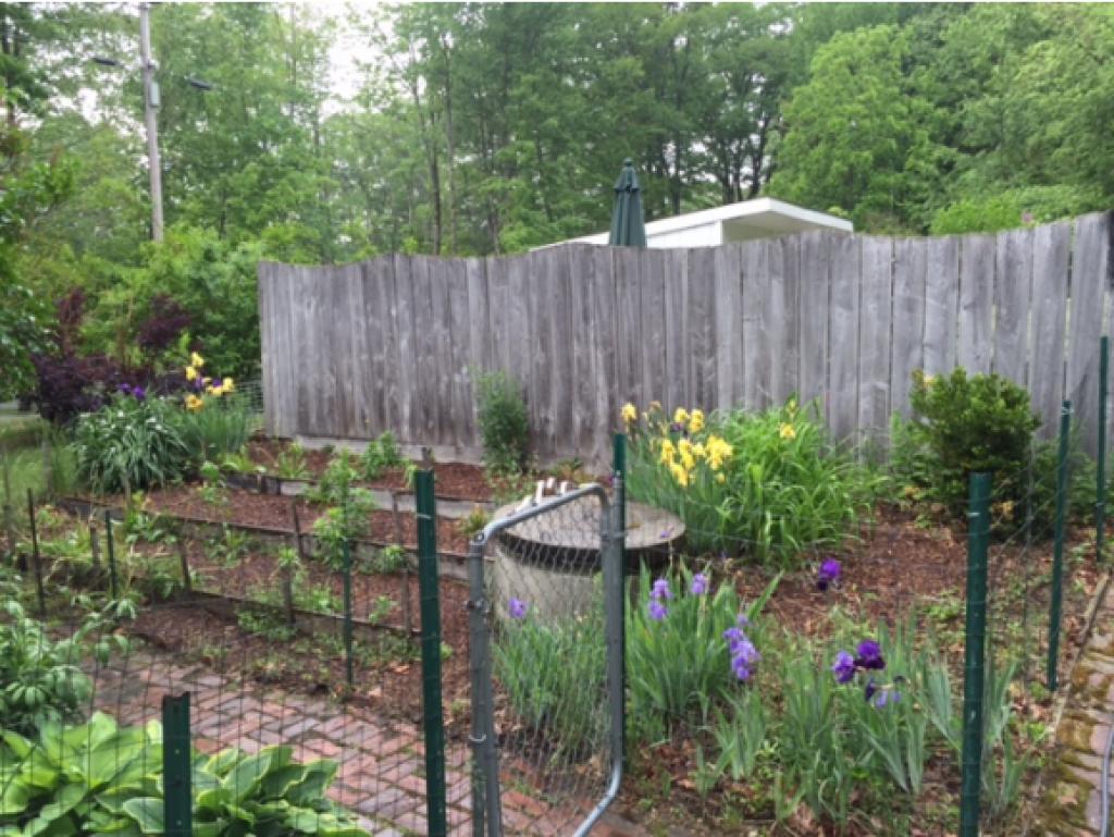 131 Mackey Road Troy, NH 03465 - Photo 26 of 29