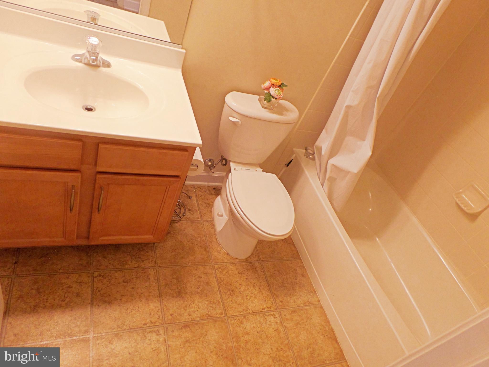 8007 Sport View Road Landover, MD 20785 - Photo 8 of 20 Bath