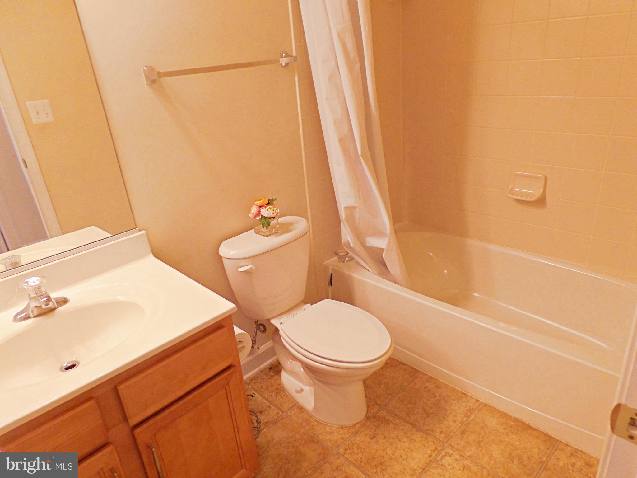 8007 Sport View Road Landover, MD 20785 - Photo 9 of 20 Bath