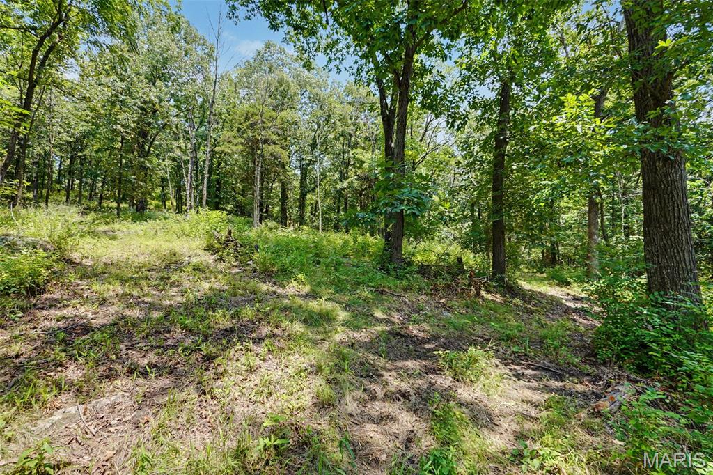 1410 St Paul Road Ballwin, MO 63021 - Photo 7 of 9