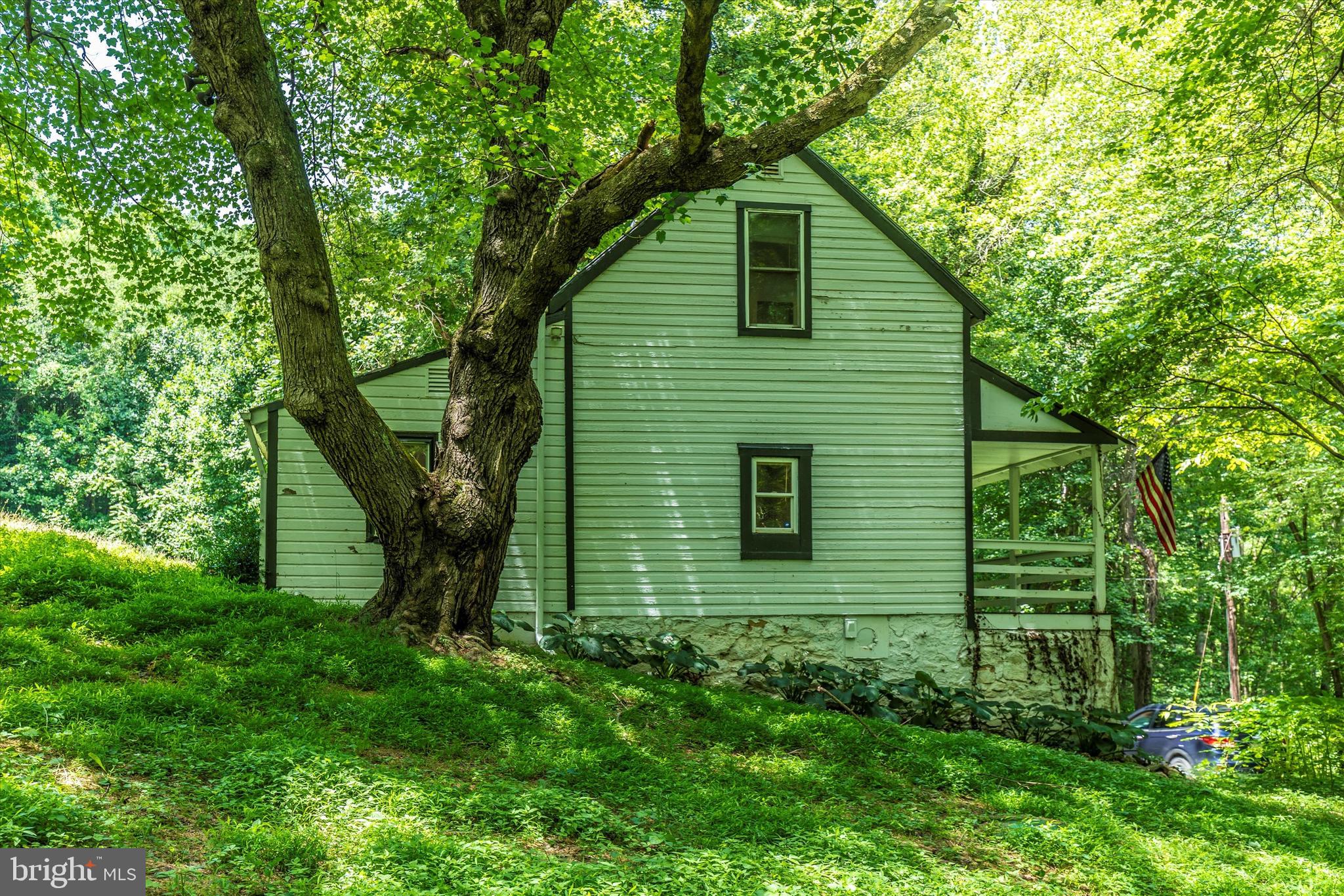 6300 Old Bohn Road Mount Airy, MD 21771 - Photo 9 of 45 a view of a backyard with plants and large tree