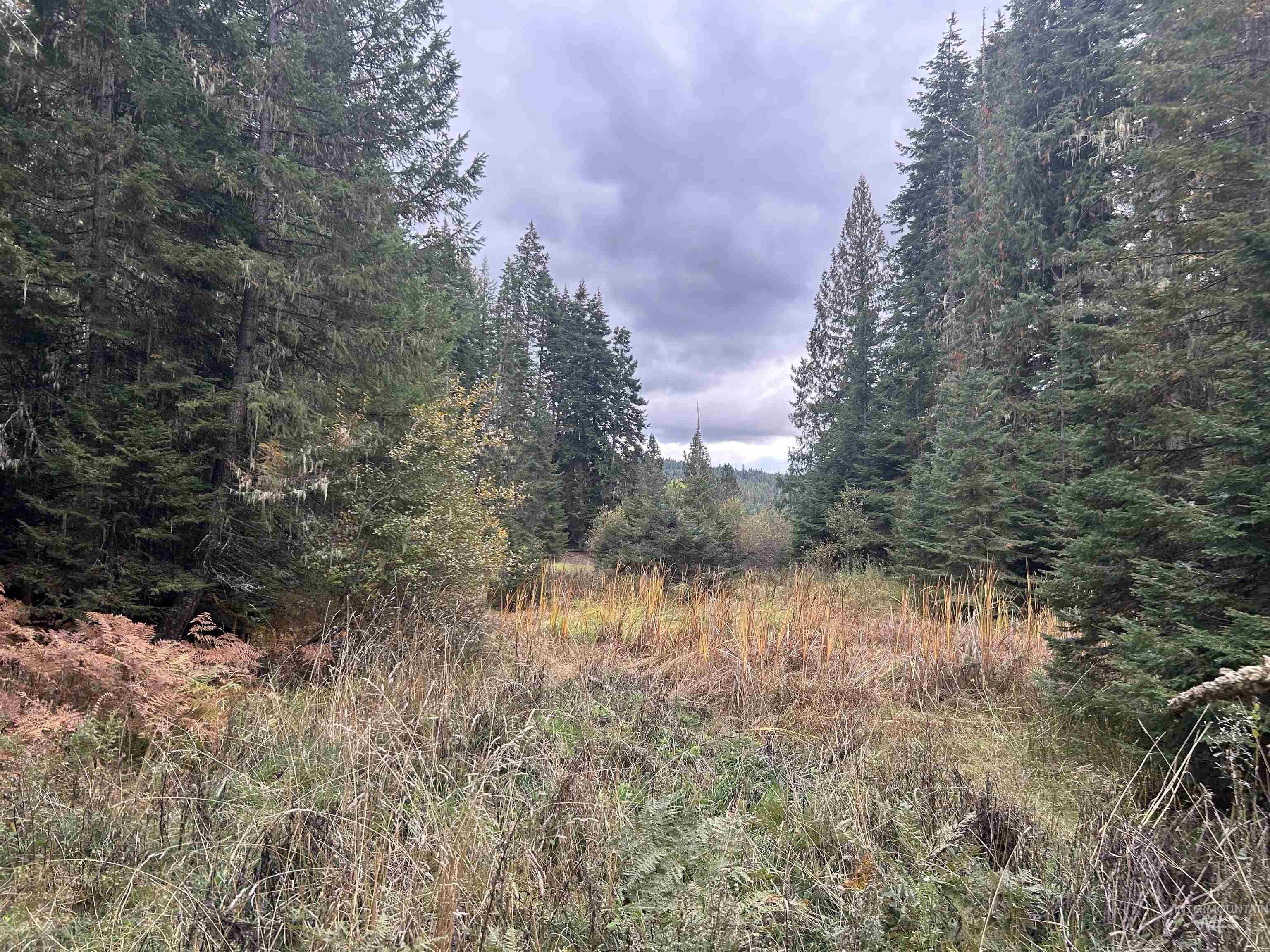 Tbd Lot 1 Tbd Road Kamiah, ID 83536 - Photo 5 of 16