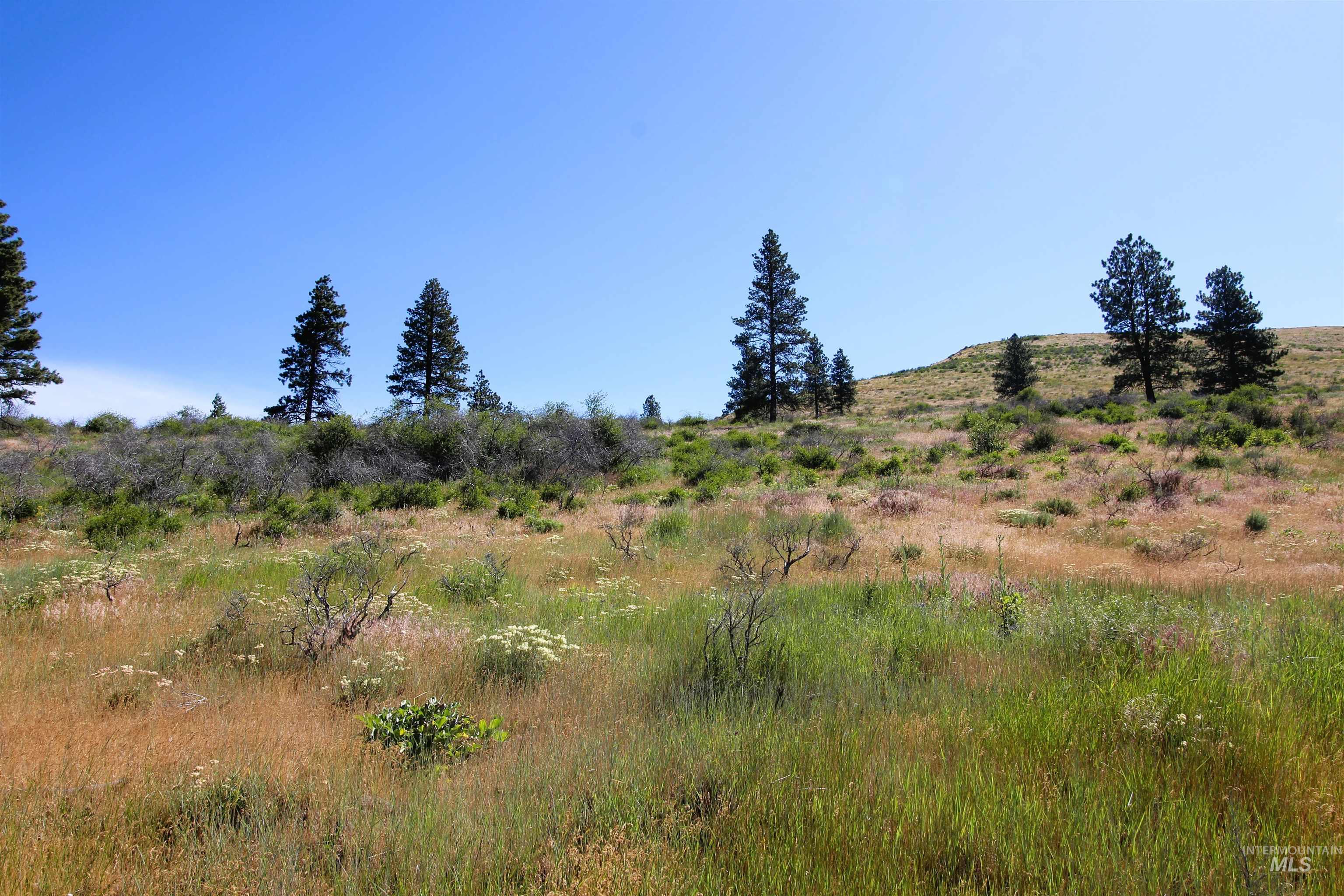 Tbd Advent Gulch Road Cambridge, ID 83610 - Photo 15 of 24