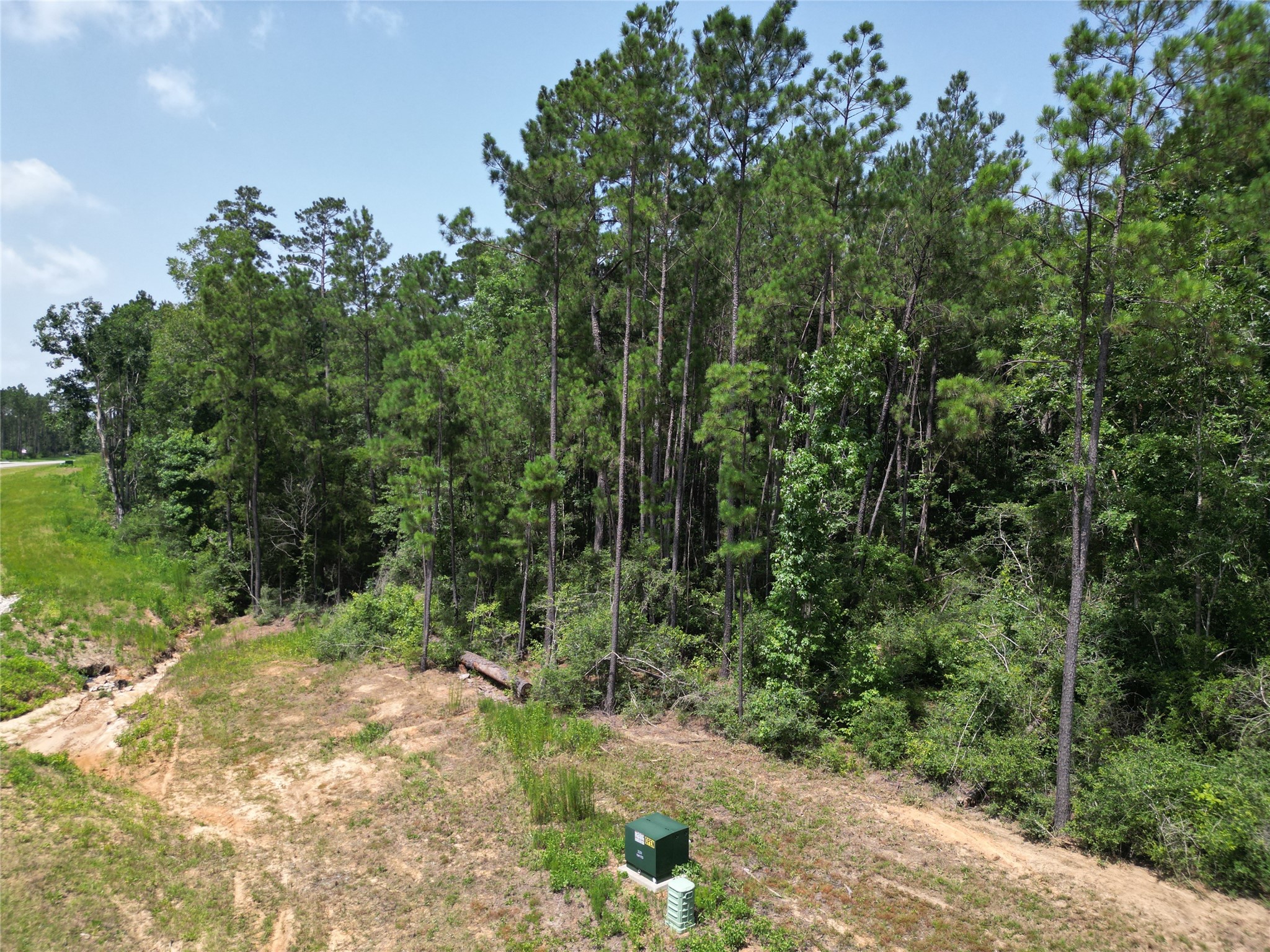 15884 Ridge Oak Road Willis, TX 77378 - Photo 4 of 24