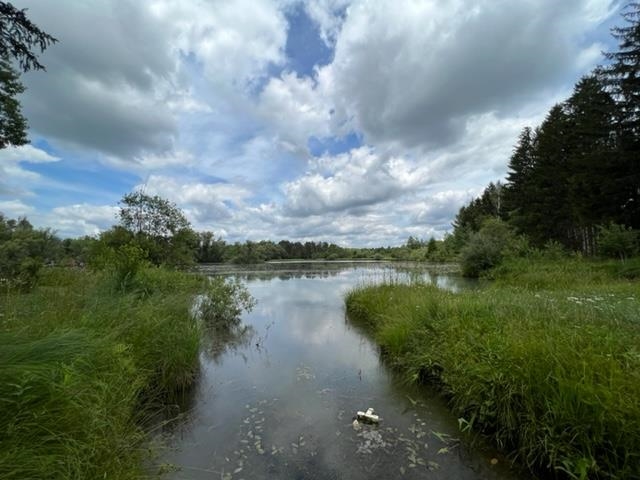 6538 North 39 Road Manton, MI 49663 - Photo 51 of 65 1902339-59.JPG