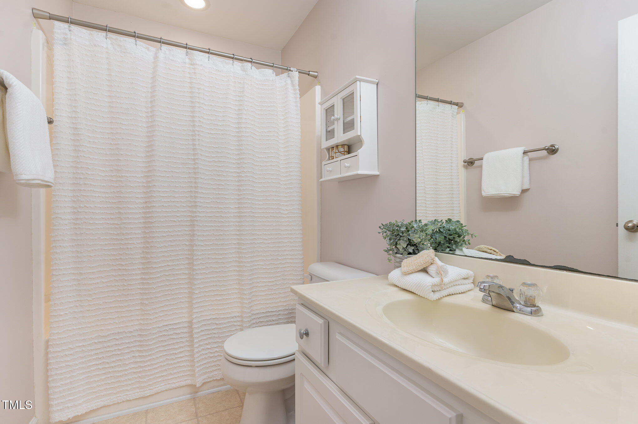 7810 Spungold Street Raleigh, NC 27617 - Photo 9 of 12 a bathroom with a sink toilet and mirror