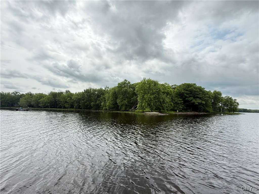 0 West Rd/black Heuvelton, NY 13654 - Photo 14 of 18