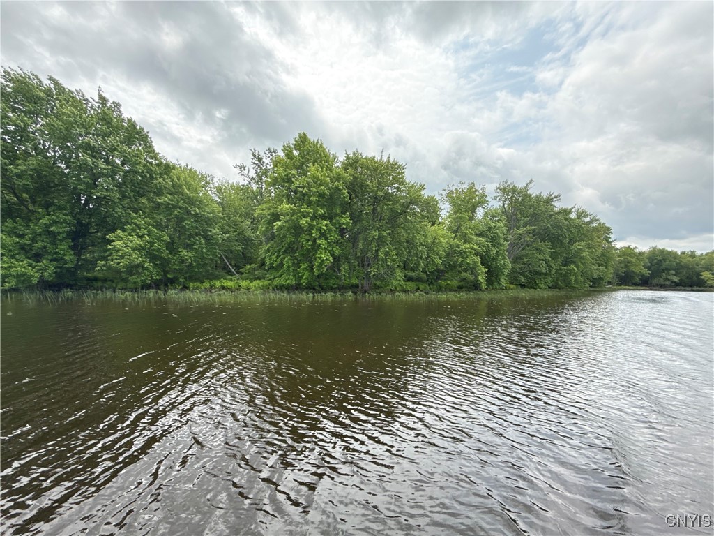 0 West Rd/black Heuvelton, NY 13654 - Photo 16 of 18