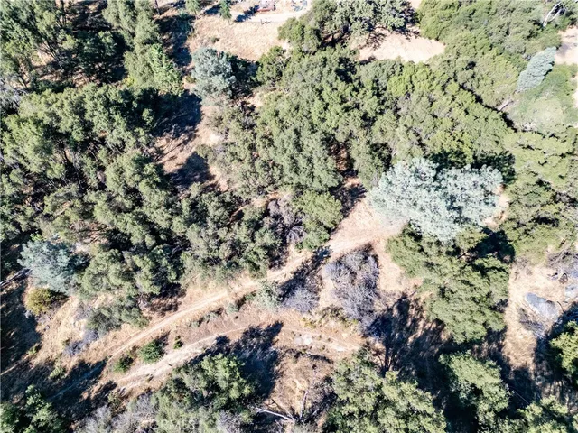 a view of a yard covered in snow