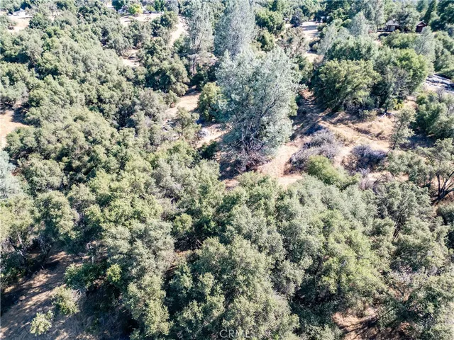 a view of a dry yard with green space