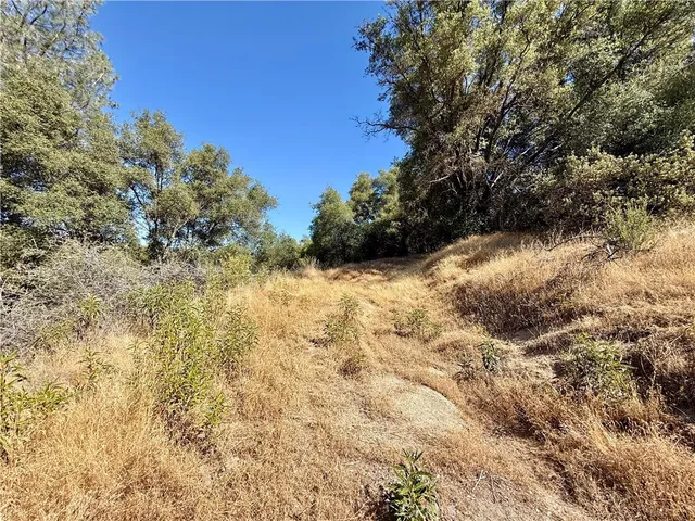 a view of outdoor space and trees