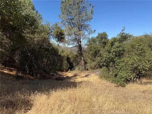 a view of a yard covered in snow