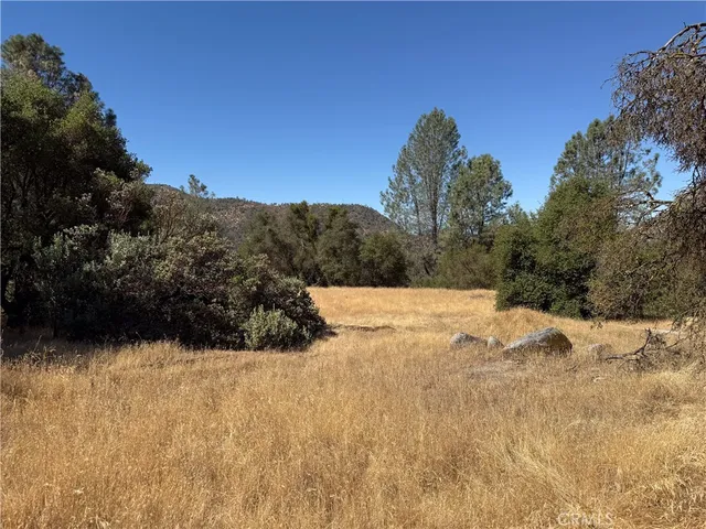 a view of a wooden fence