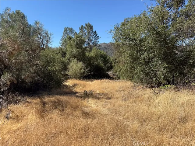 a view of a snow in a yard