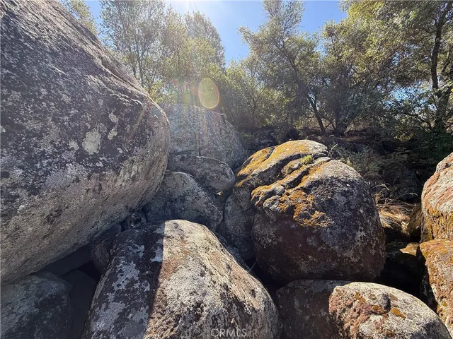 a view of a yard of a yard