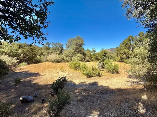 a view of ocean view with large trees