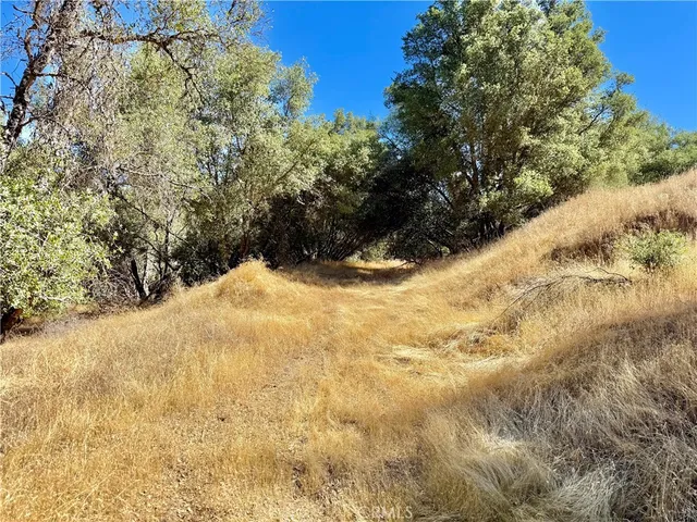 a black and white photo of a picture