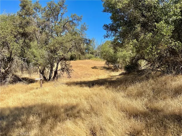 a view of a snow on a field