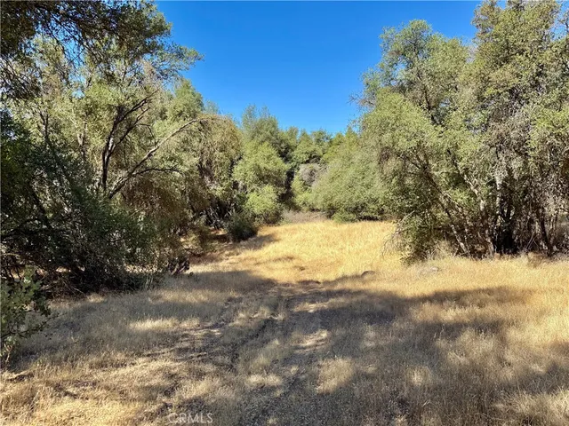 a view of outdoor space and trees