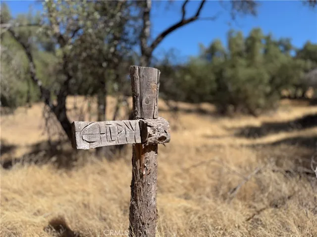 a view of swimming pool from a yard