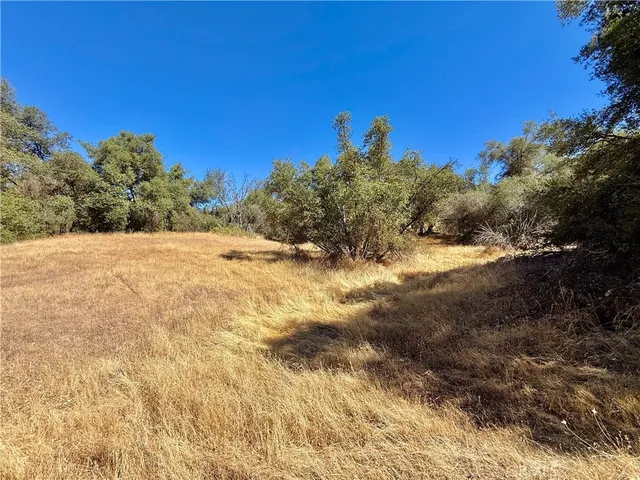 $99,000 | 41902 Woodward Way, Ahwahnee, CA 93601