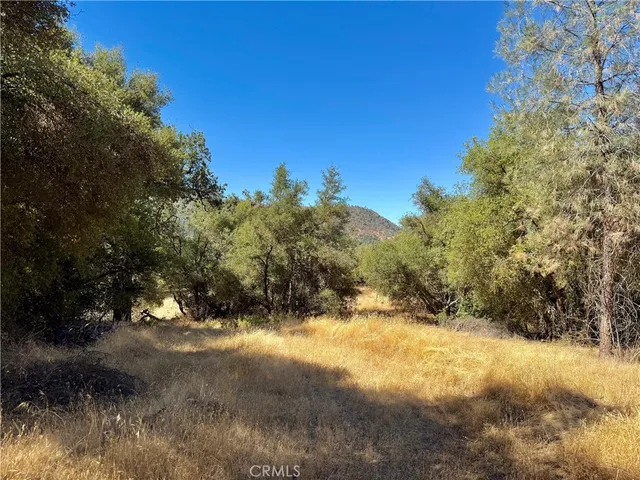 $99,000 | 41902 Woodward Way, Ahwahnee, CA 93601