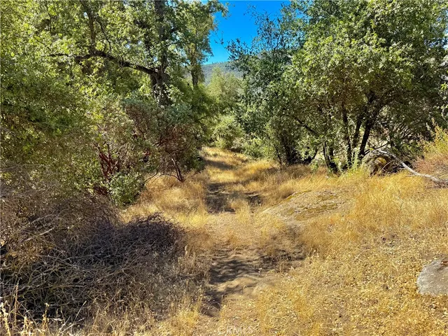 $99,000 | 41902 Woodward Way, Ahwahnee, CA 93601