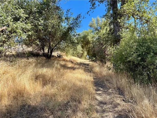 $99,000 | 41902 Woodward Way, Ahwahnee, CA 93601