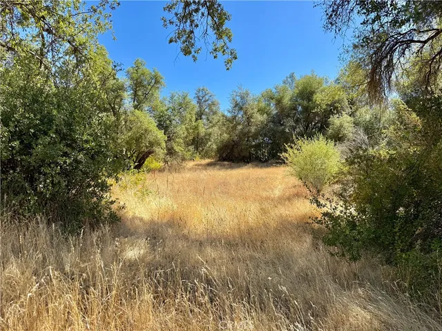 $99,000 | 41902 Woodward Way, Ahwahnee, CA 93601