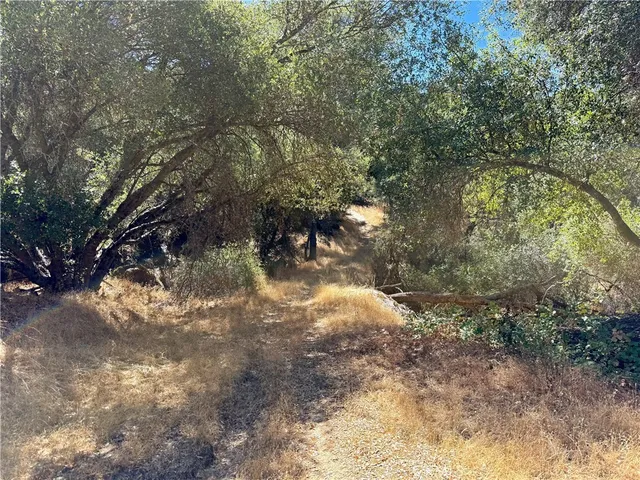 $99,000 | 41902 Woodward Way, Ahwahnee, CA 93601