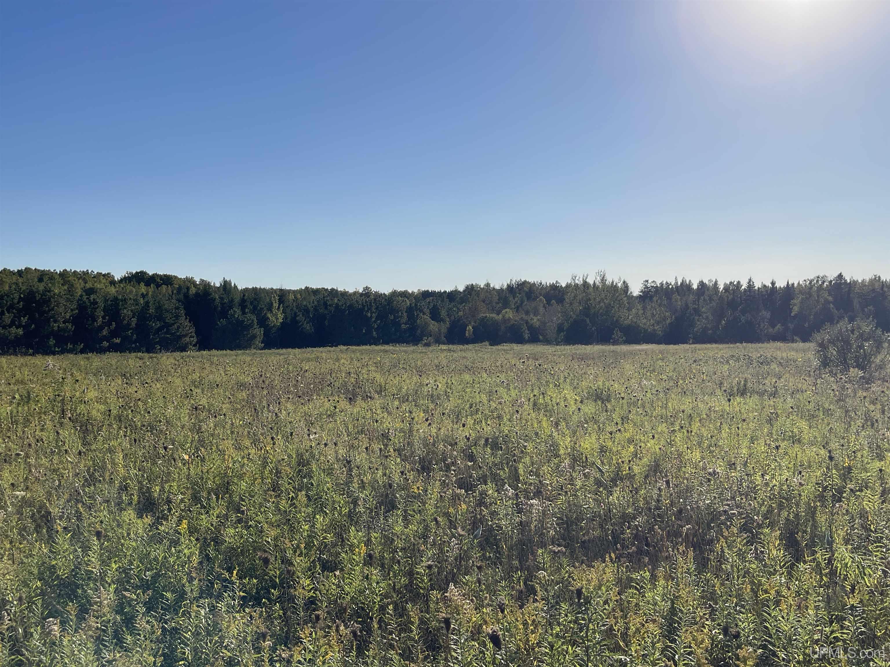 40-acres County Pit Road, Unit PARCEL #4 Manistique, MI 49854 - Photo 13 of 41 Gallery Image 13